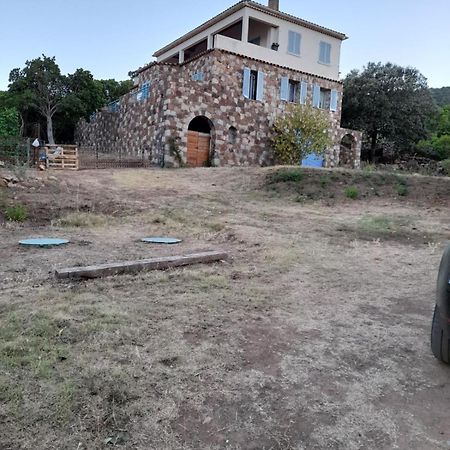 Casa Ghjuvanna Galeria (Corsica) Bagian luar foto